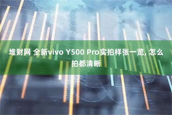 堆财网 全新vivo Y500 Pro实拍样张一览, 怎么拍都清晰