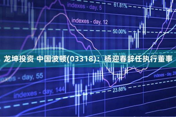 龙坤投资 中国波顿(03318)：杨迎春辞任执行董事
