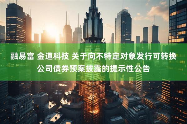 融易富 金道科技 关于向不特定对象发行可转换公司债券预案披露的提示性公告