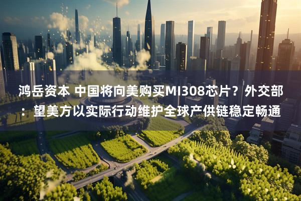 鸿岳资本 中国将向美购买MI308芯片？外交部：望美方以实际行动维护全球产供链稳定畅通
