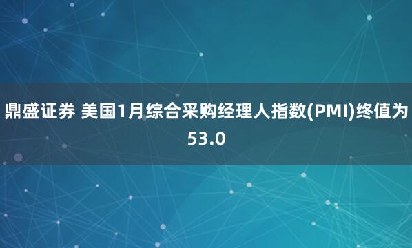 鼎盛证券 美国1月综合采购经理人指数(PMI)终值为53.0